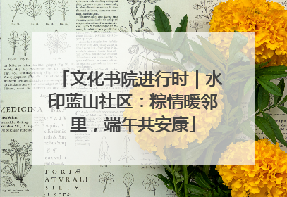 文化书院进行时｜水印蓝山社区：粽情暖邻里，端午共安康